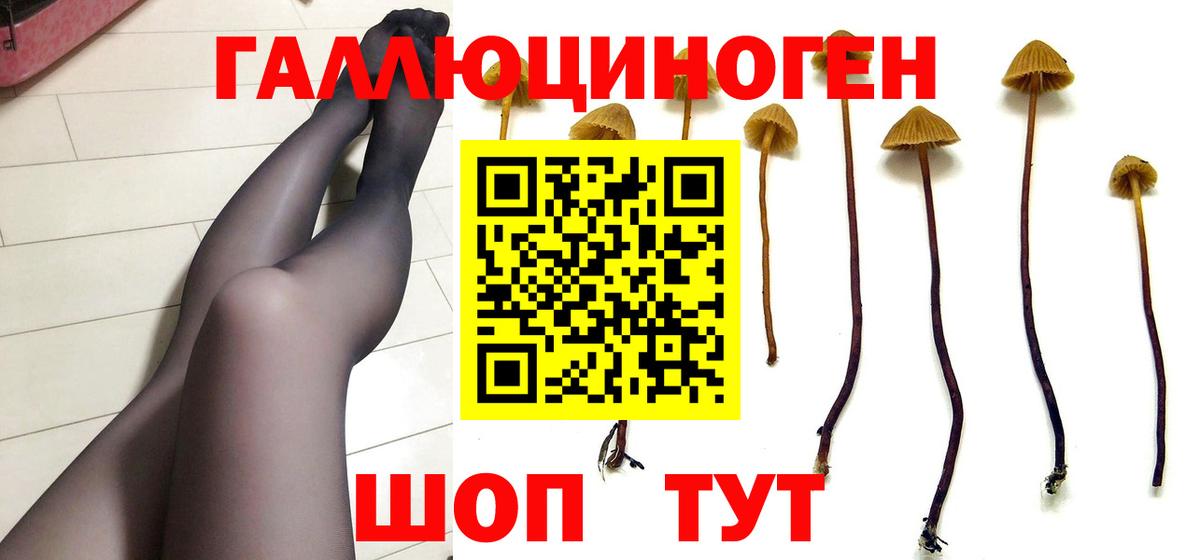 Псилоцибиновые грибы ЛСД  Вход с VPN  Мытищи 